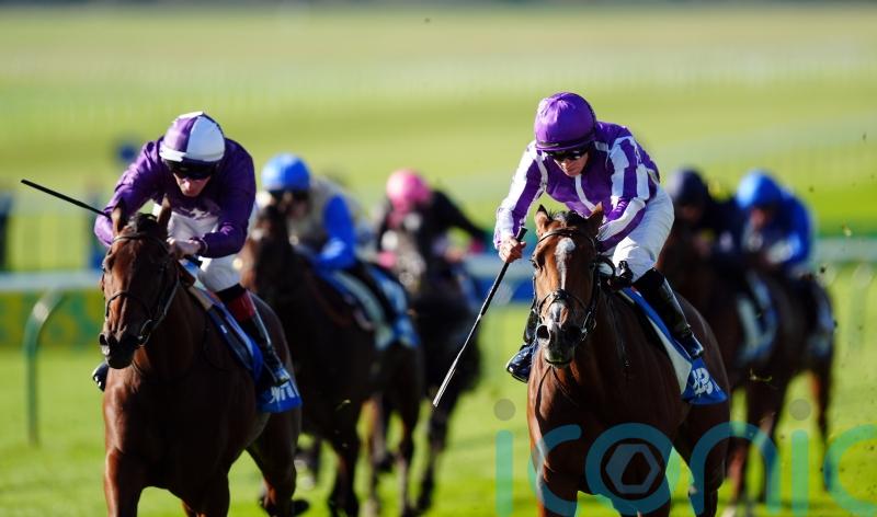 Merrily provides Oh So Sharp cheer for O’Brien