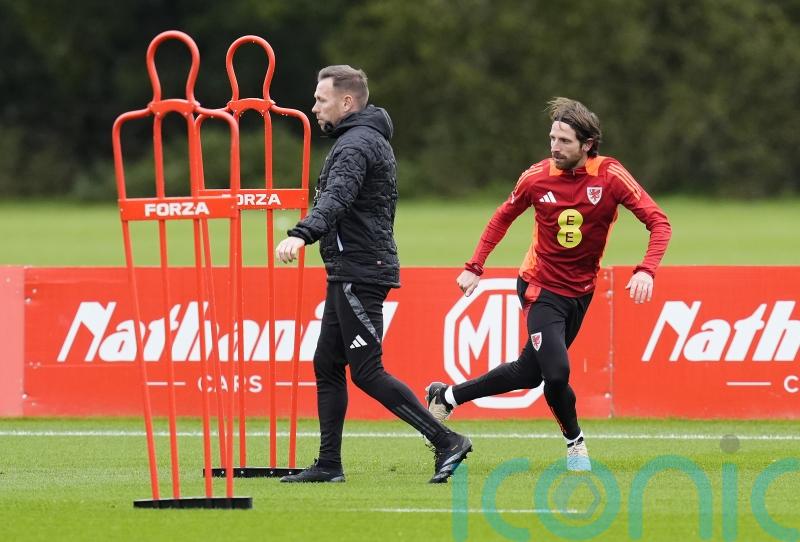 Craig Bellamy says ‘romantic’ Montenegro return for Joe Allen would be a gamble