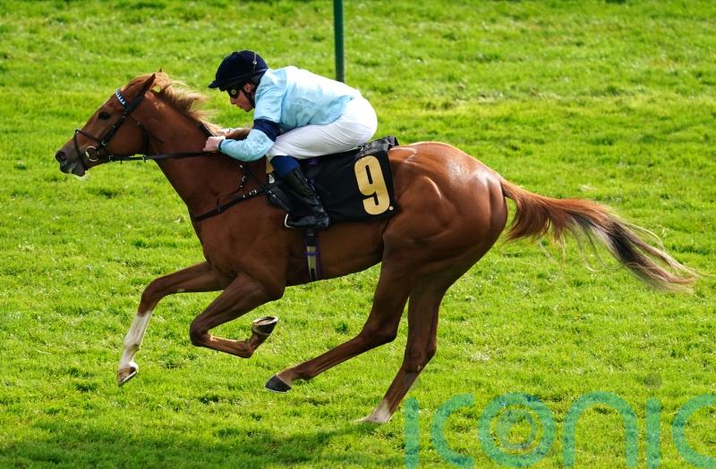 Soprano heading to Del Mar for Breeders’ Cup challenge