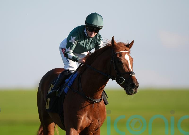 Nebras supplemented for Doncaster’s Futurity Trophy