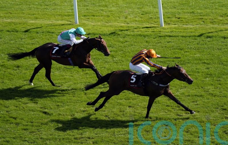 Teal encouraged by Dancing Gemini’s Ascot effort