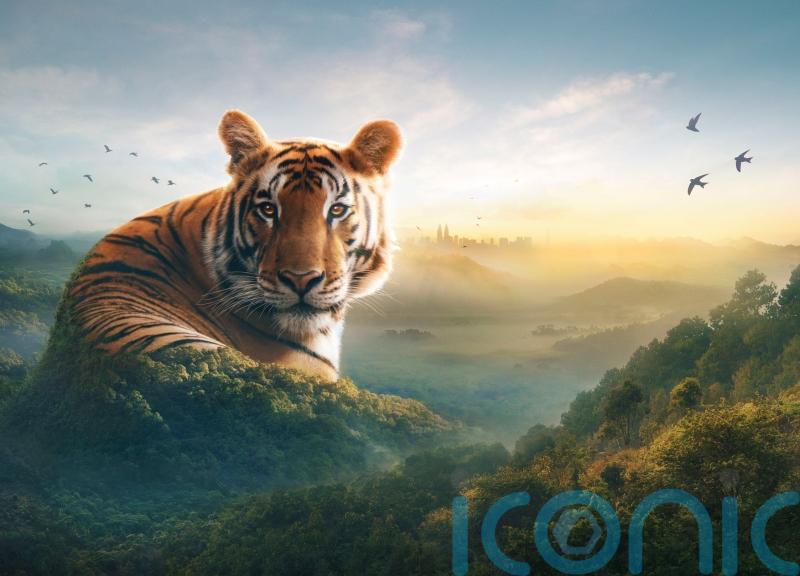 How Attenborough is putting Asia firmly on the wildlife map