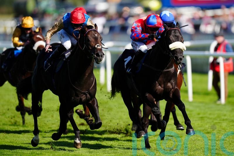 Wathnan juveniles all set for Breeders’ Cup battle