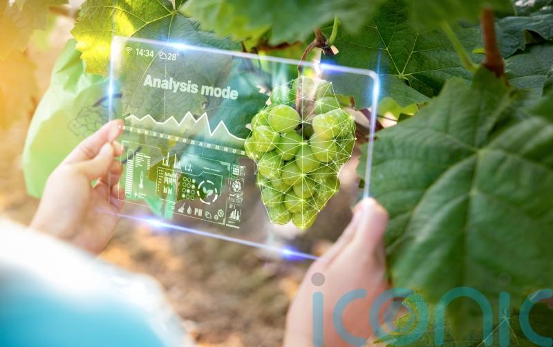 How AI may help gardens of the future