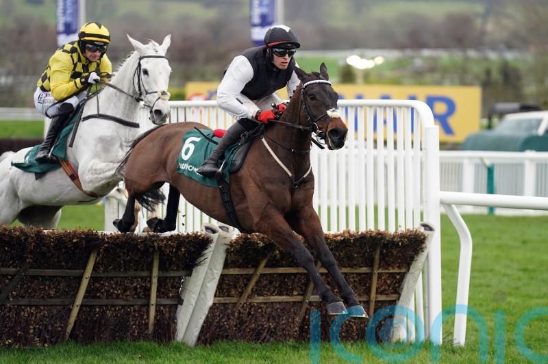 Cromwell open to Navan or Cheltenham next for Flooring Porter