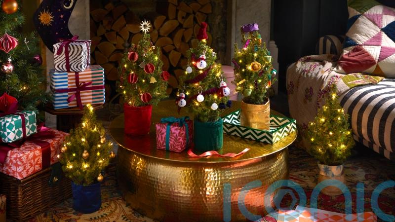 The best potted mini Christmas trees for small spaces