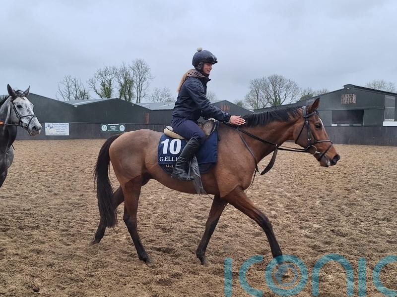 Staying star Teahupoo preparing for Hatton’s Grace defence
