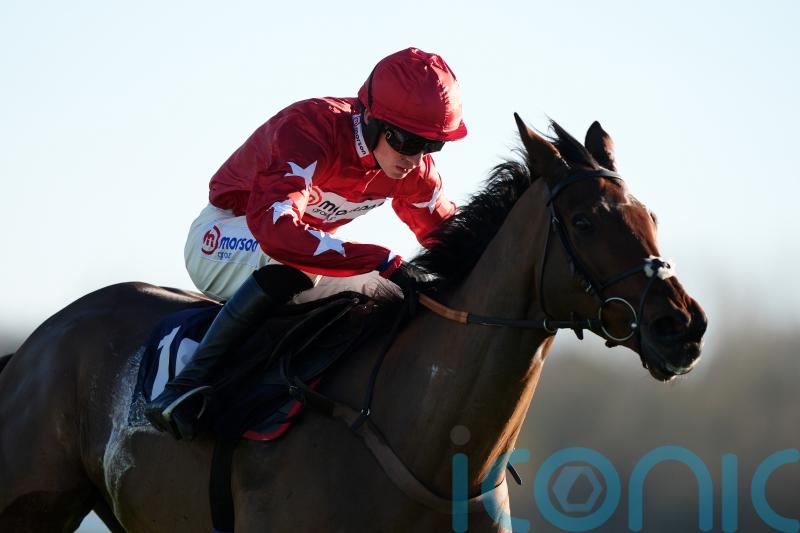 Regent&rsquo;s Stroll off to wining start on jumping bow at Newbury