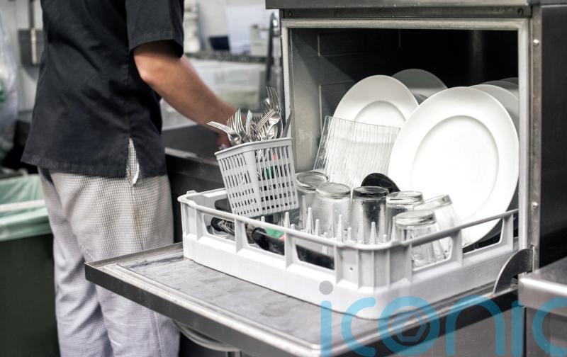 Irregular employment of migrant workers falls following new laws