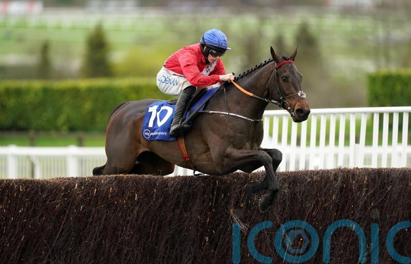 Quilixios primed for Tingle Creek and ‘pretty adaptable’ ground-wise