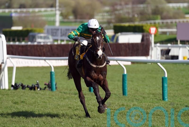 Majborough makes magnificent chasing debut at Fairyhouse