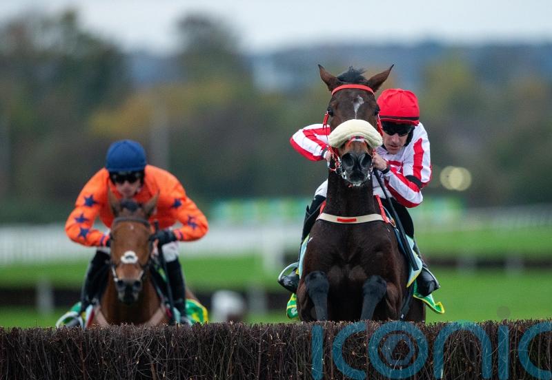 The Real Whacker to be added to King George field