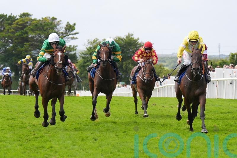 Elliott has faith in ‘improving’ Ascot contender The Wallpark