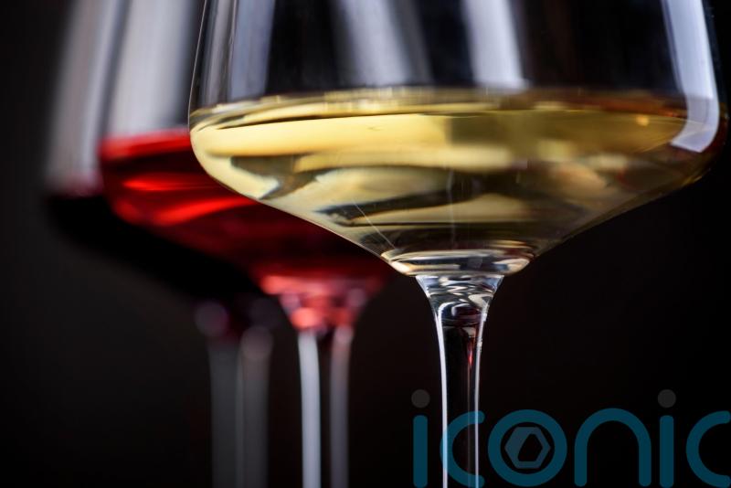 8 must-try wines which left a lasting impression this year