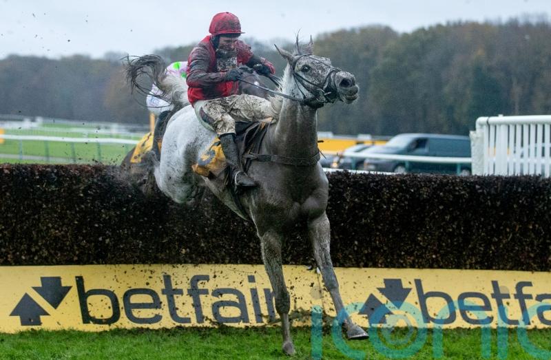 Big guns stand ground among bumper field for King George crown