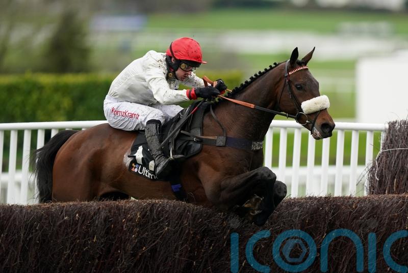 Chianti Classico continuing tendon injury recovery