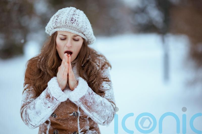 How the cold snap is affecting your hair