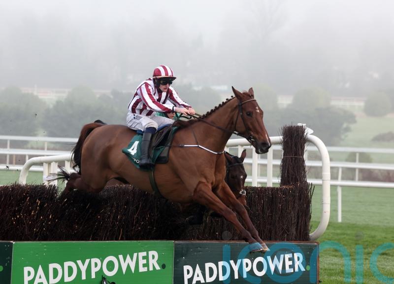 O’Loughlin weighing up Windsor for Jeannot Lapin