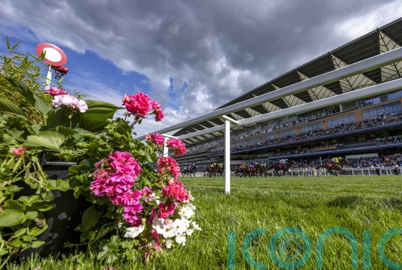 British Midsummer Bonus set up to tempt international runners