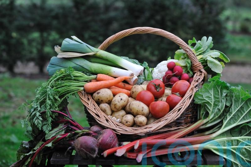 What’s in season to cook right now?