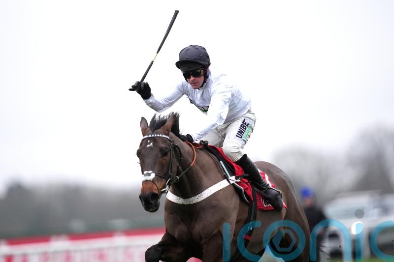 Constitution Hill ‘up for it’ ahead of Festival prep