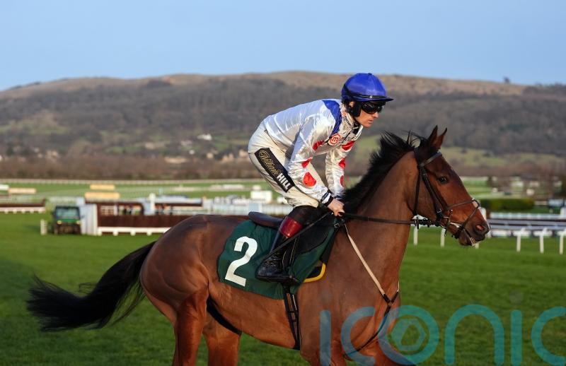 Potters Charm team expecting ‘different horse’ at Festival