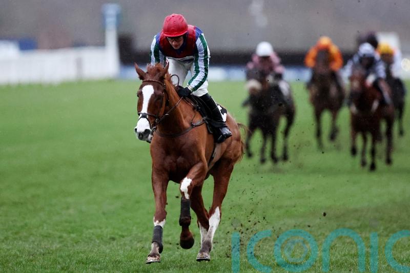 Windbeneathmywings ‘ticking over’ with Cheltenham on the horizon