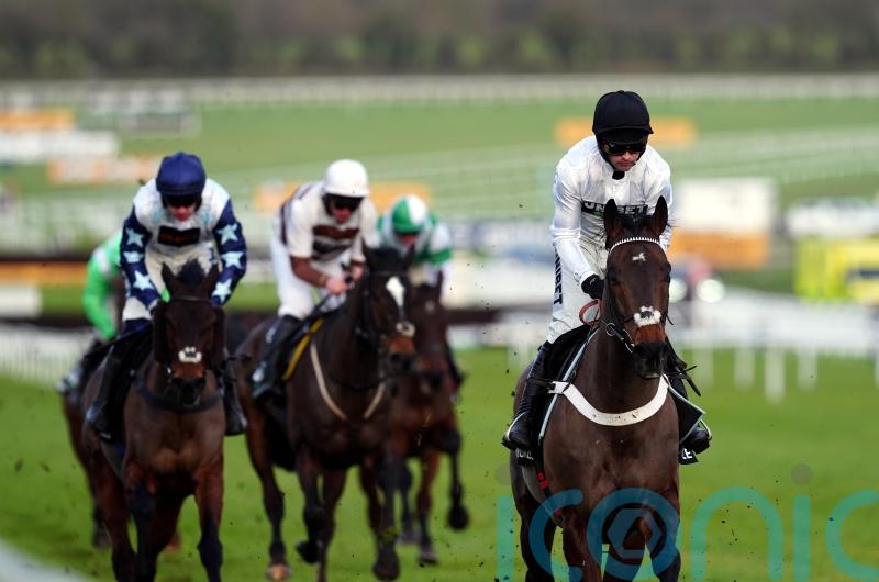 Kingwell target for Brentford Hope after gallant Constitution Hill effort