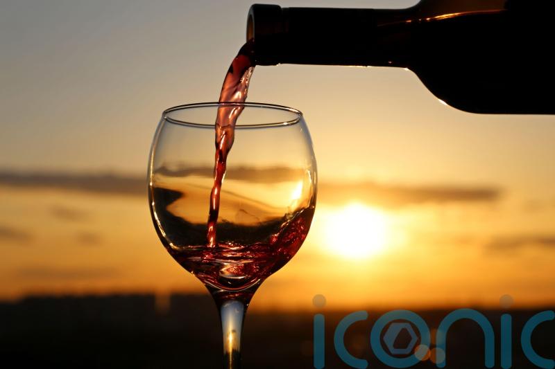 6 snazzy South American reds to swoon over