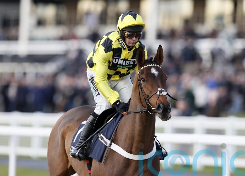 ‘Sore’ Arkle favourite Sir Gino misses Game Spirit run