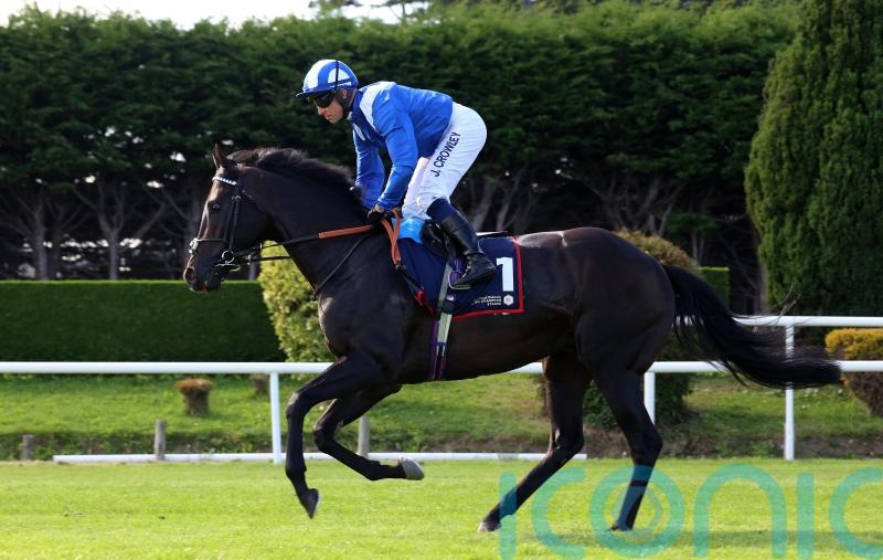 Burrows looking forward to trying Alflaila over longer trip