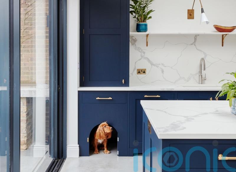 How to create a pet-friendly home without sacrificing style