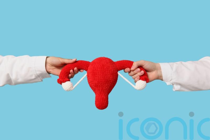 What are the early signs of womb cancer and how is it treated?