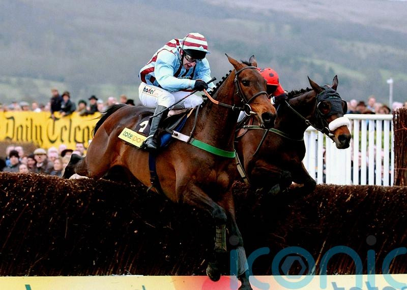 Three Gold Cups – but it might just have been a different Best Mate story