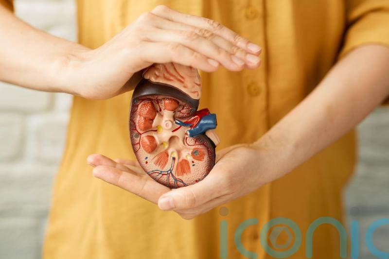 7 simple habits to keep your kidneys happy and healthy