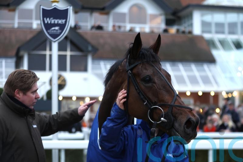 Skelton not doubting Lion’s heart for a Festival fight