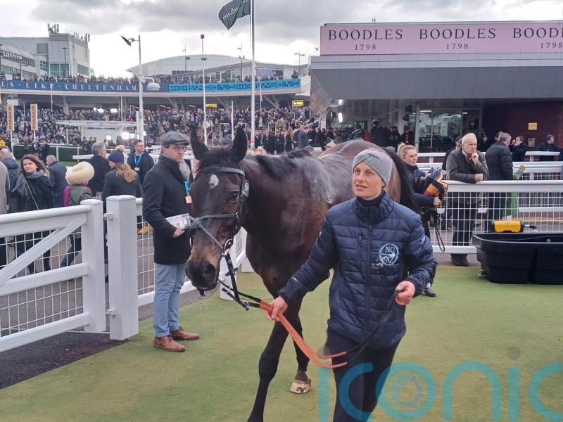 George points to Cheltenham track after Francais defeat