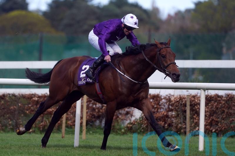 Dallas Star could be back in the ascendancy on Sunday