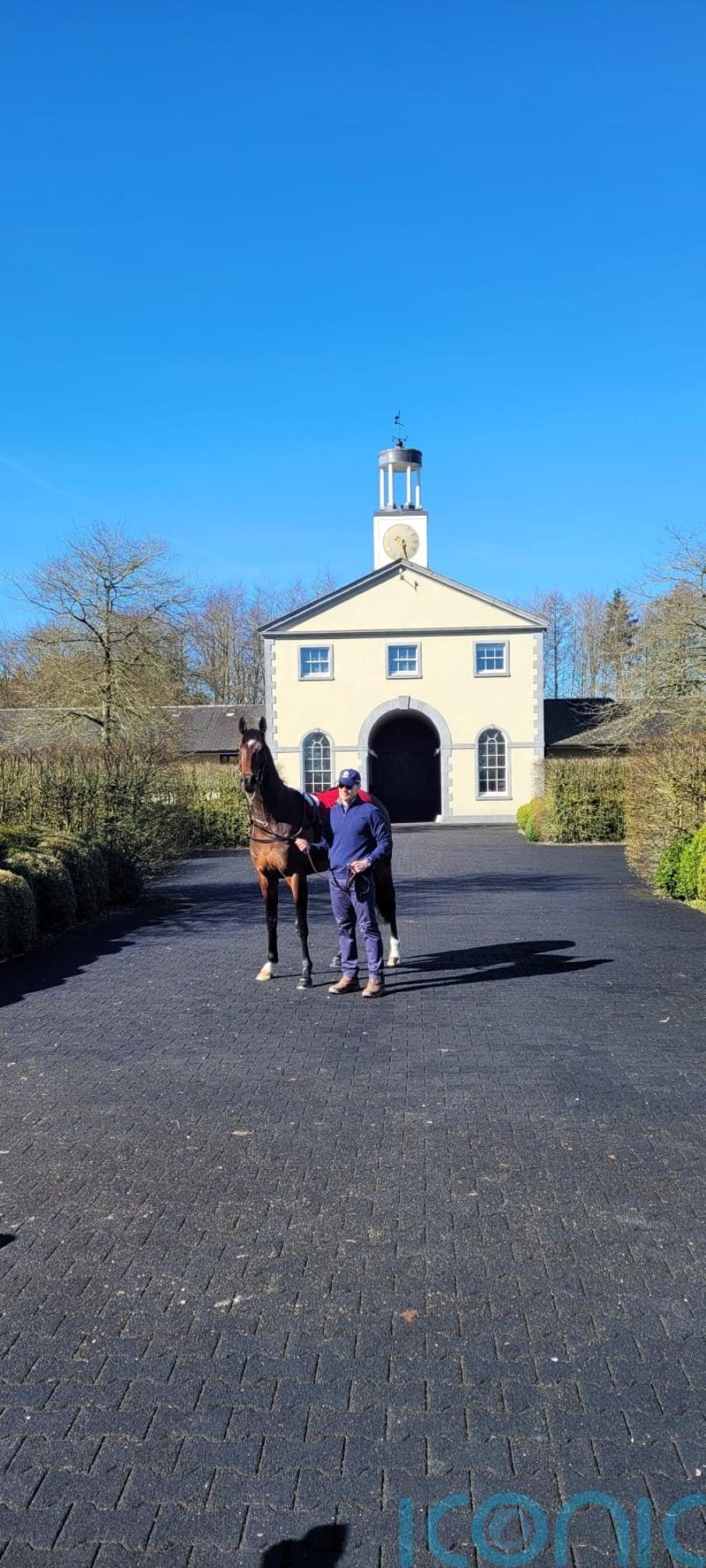 O’Brien hints Twain may lead Newmarket 2000 Guineas team