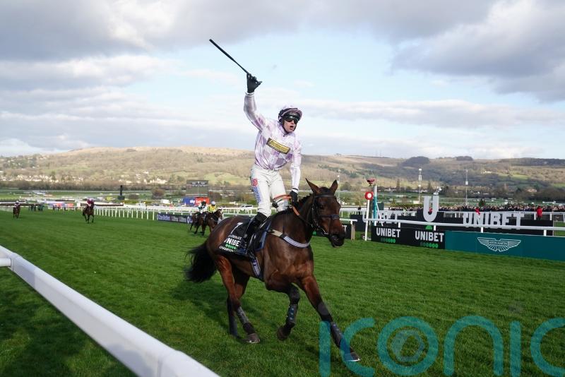 Champion Hurdle heroine Golden Ace on course for Punchestown