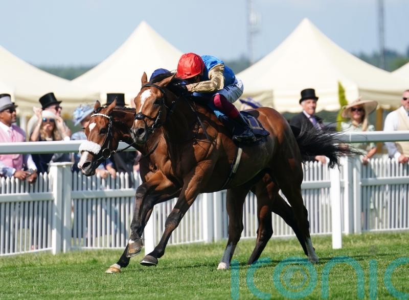Comeback in sight for Courage Mon Ami