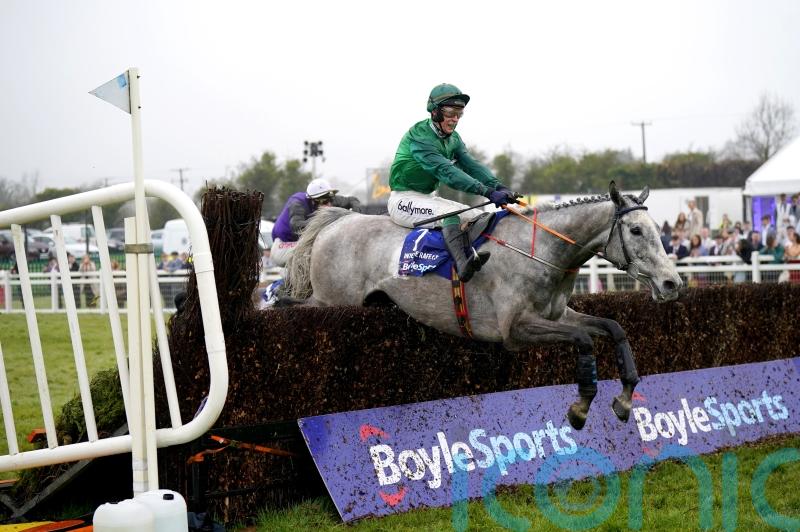 Intense approach has worked perfectly so far for Tom Gibney