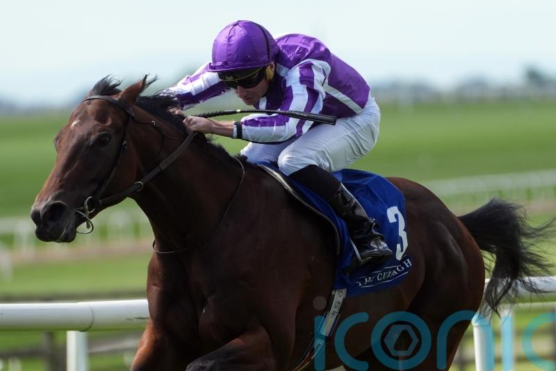 Delacroix set for Ballysax Stakes test