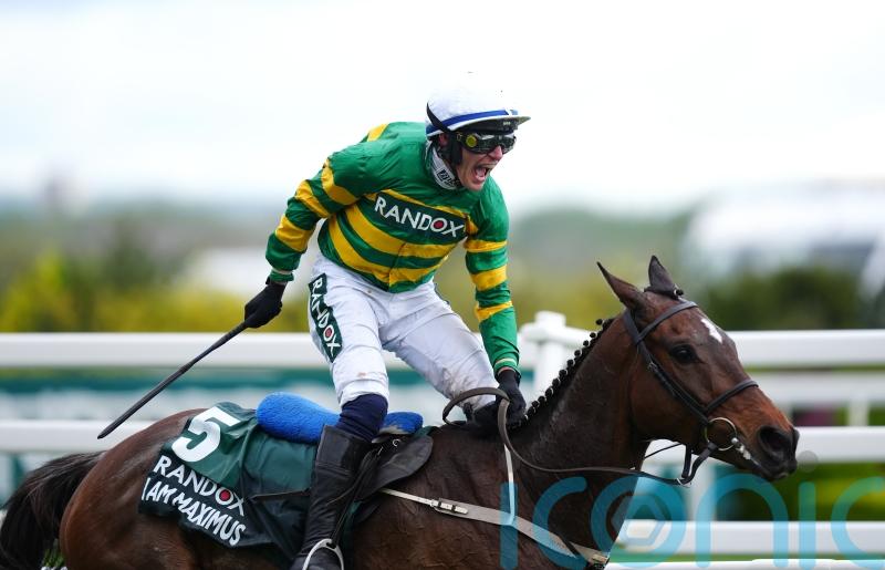 I Am Maximus delights connections ahead of National defence