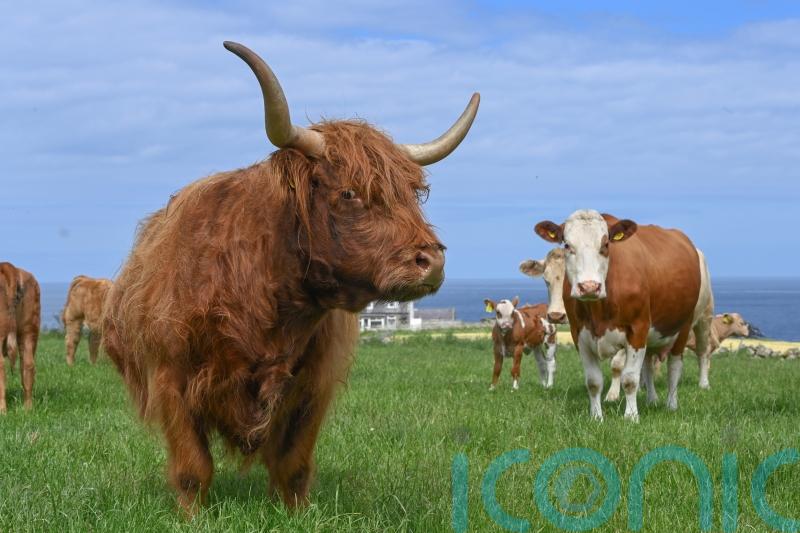 Get back to nature with an authentic farm stay