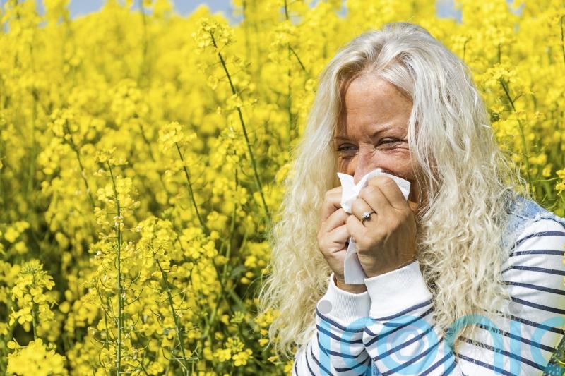 How to tell if it’s hay fever or a cold
