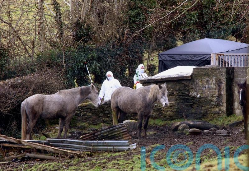 Ireland accused of &lsquo;wasting seven years&rsquo; in Kieran Doherty inquest