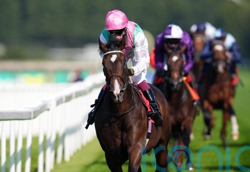 Juddmonte in no rush to firm up Cosmic Year target