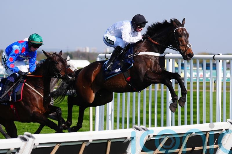 Constitution Hill &lsquo;fresh as paint&rsquo;, with sights set on Punchestown