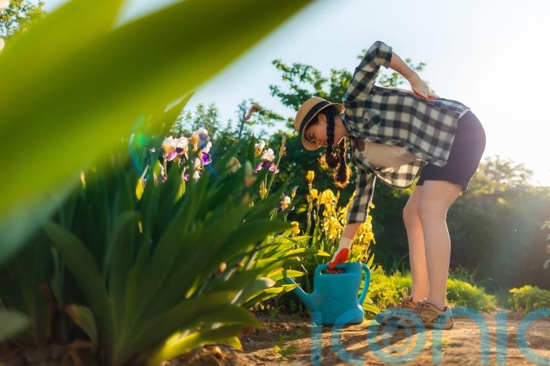 How to protect your back while gardening this summer